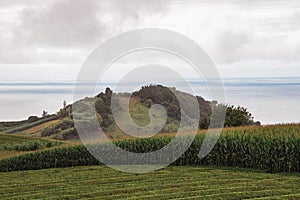 Scenic view of a sprawling cornfield surrounded by a large hill under a cloudy sky