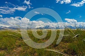 Scenic view of steppe with feathergrass and mountain peaks