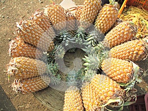 Scenic view of stocked fruit pineapple for multipurpose use