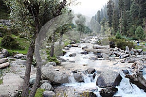 Scenic view of a stream flowing in the Aru Valley, Pahalgam, Kashmir, India