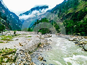 Scenic view of stream flowing in Harsil valley in Uttarakhand, INDIA