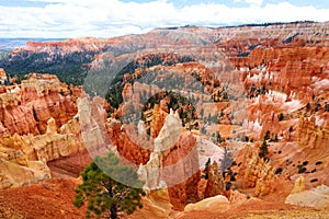 Scenic view of stunning red sandstone hoodoos in Bryce Canyon National Park