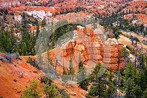 Scenic view of stunning red sandstone hoodoos in Bryce Canyon National Park