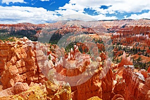 Scenic view of stunning red sandstone hoodoos in Bryce Canyon National Park