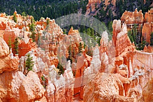 Scenic view of stunning red sandstone hoodoos in Bryce Canyon National Park