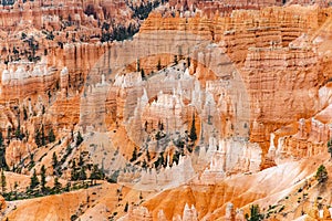 Scenic view of stunning red sandstone hoodoos in Bryce Canyon National Park in Utah, USA