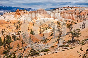 Scenic view of stunning red sandstone hoodoos in Bryce Canyon National Park in Utah, USA