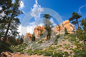 Scenic view of stunning red sandstone hoodoos in Bryce Canyon National Park in Utah, USA