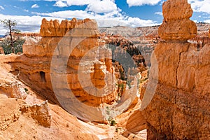 Scenic view of stunning red sandstone hoodoos in Bryce Canyon National Park in Utah, USA