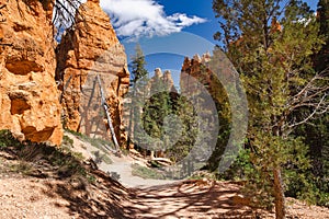 Scenic view of stunning red sandstone hoodoos in Bryce Canyon National Park in Utah, USA