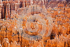 Scenic view of stunning red sandstone hoodoos in Bryce Canyon National Park in Utah, USA