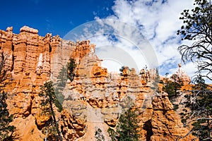 Scenic view of stunning red sandstone hoodoos in Bryce Canyon National Park in Utah, USA