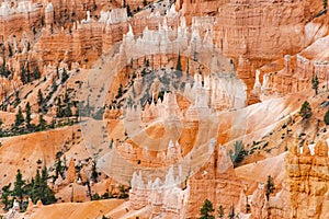 Scenic view of stunning red sandstone hoodoos in Bryce Canyon National Park in Utah, USA