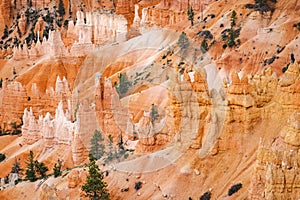 Scenic view of stunning red sandstone hoodoos in Bryce Canyon National Park in Utah, USA