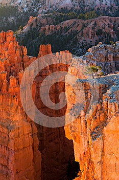 View of stunning red sandstone hoodoos in Bryce Canyon National