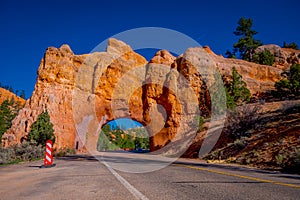 Scenic view of stunning red sandstone natural bridge and asphalt road in Bryce Canyon National Park in Utah