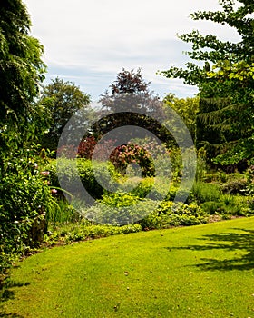 Scenic view of summer English garden with lawn, flowers and tree