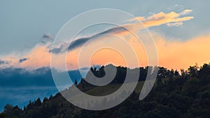 Scenic view of a summer sunset. Forest in the foreground