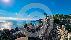 Scenic view on sunny day from the touristic paradise island Isola Bella in Taormina, Sicily, Italy, Europe, EU. Cochineal cactus