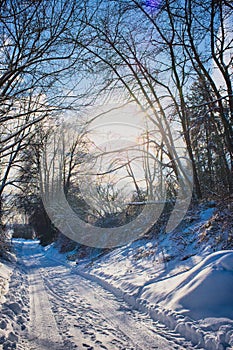 Scenic view of a sunny road covered with snow in Glabais, Belgium