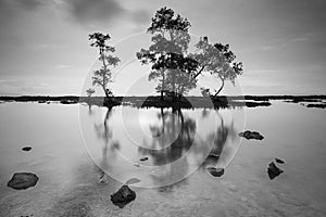 Scenic view of sunset at Carita Anyer Banten in grayscale