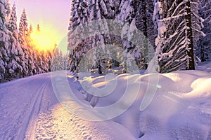 Scenic view of sunset in a winter mountain forest