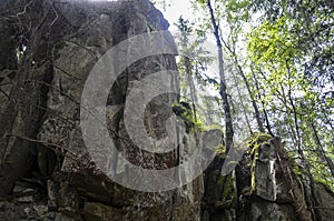 Scenic view of a tall rock formation of Dovbush pantries surrounded by dense green forest under sunlight photo