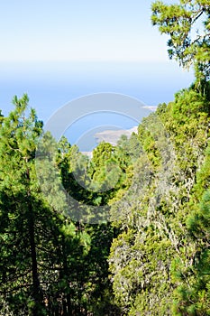 Scenic view from Tamadaba nature Park photo