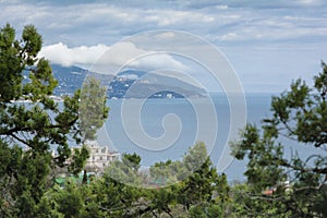 Scenic view through the thuja branches to the Ayu-Dag mountain