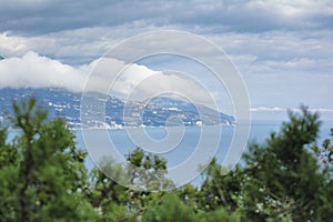 Scenic view through the thuja branches to the Ayu-Dag mountain