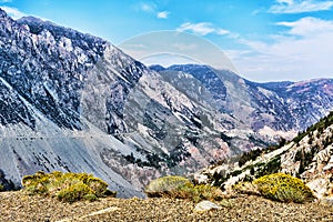 Scenic view of Tioga Pass road passing Lee Vining Creek Canyon on summer day