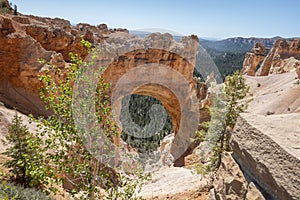 Scenic view to Bryce Canyon rocks