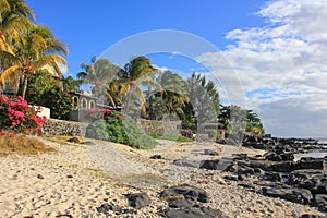 Scenic view to coastline sandy beach with black stones and blossom bushes and palm trees in village of tropical island Mauritius