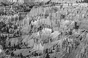 Scenic view to the hoodoos in the Bryce Canyon national Park, Utah