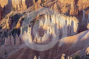 Scenic view to the hoodoos in the Bryce Canyon national Park, Utah