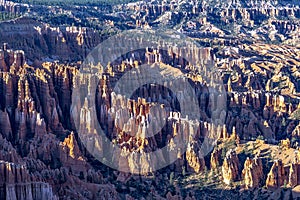 Scenic view to the hoodoos in the Bryce Canyon national Park, Utah