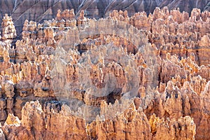 Scenic view to the hoodoos in the Bryce Canyon national Park, Utah