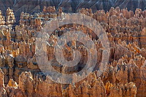 Scenic view to the hoodoos in the Bryce Canyon national Park, Utah