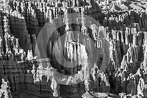 Scenic view to the hoodoos in the Bryce Canyon national Park, Utah