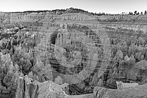 Scenic view to the hoodoos in the Bryce Canyon national Park, Utah