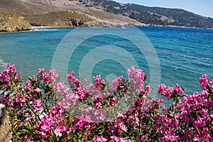 Scenic view of the Told beach surrounded with mountains and flowers in the foreground in Symi island