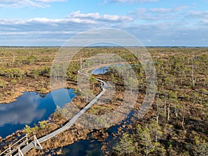 A scenic view from the top of the Kemeri bog, moorland landscape,.early spring