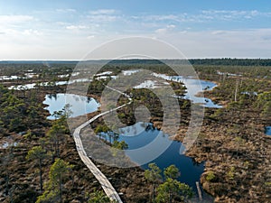 A scenic view from the top of the Kemeri bog, moorland landscape,.early spring