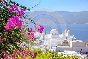 Scenic view of traditional Greek cycladic village with flowers f