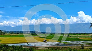 Scenic view of traditional rice farming, with blue sky, mountains and rice fields in, Indonesia