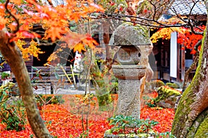 Scenic view of a traditional stone lantern with fiery maple trees & fallen leaves on the ground in the Japanese courtyard garden o