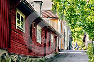 Scenic view of a trail near rural red houses and green trees