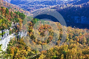 A scenic view of trees changing color and the Buffalo River in the Ozark Mountains