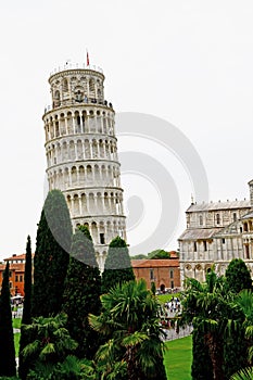 Scenic View through Trees of Leaning Tower and Pisa Cathedral, Piazza del Duomo, Pisa, Tuscany, Italy