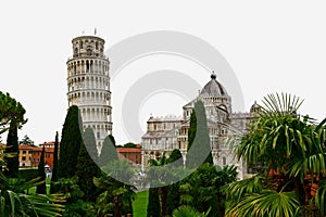 Scenic View through Trees of Leaning Tower and Pisa Cathedral, Piazza del Duomo, Pisa, Tuscany, Italy